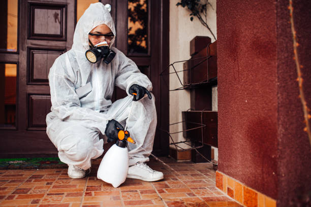 Reliable Wasp Removal contractor in East Dubuque, IL by Show Me Pest Control
